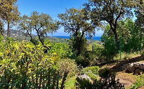 Les Restanques vue mer 5 pers Glycine 2067